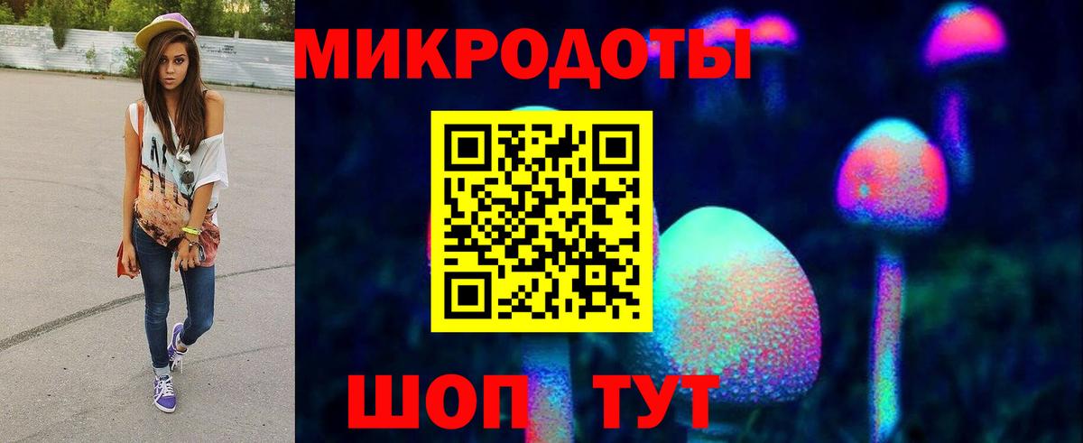 купить  цена  Псилоцибиновые грибы Psilocybine cubensis  Вход с VPN  Энгельс 